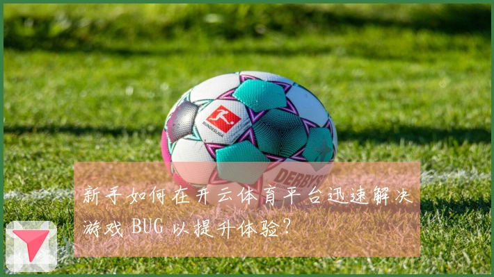 新手如何在开云体育平台迅速解决游戏 BUG 以提升体验？